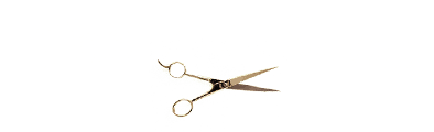 The Hair Shop